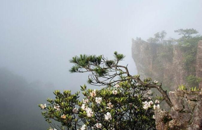 浙江松阳卯山国家森林公园