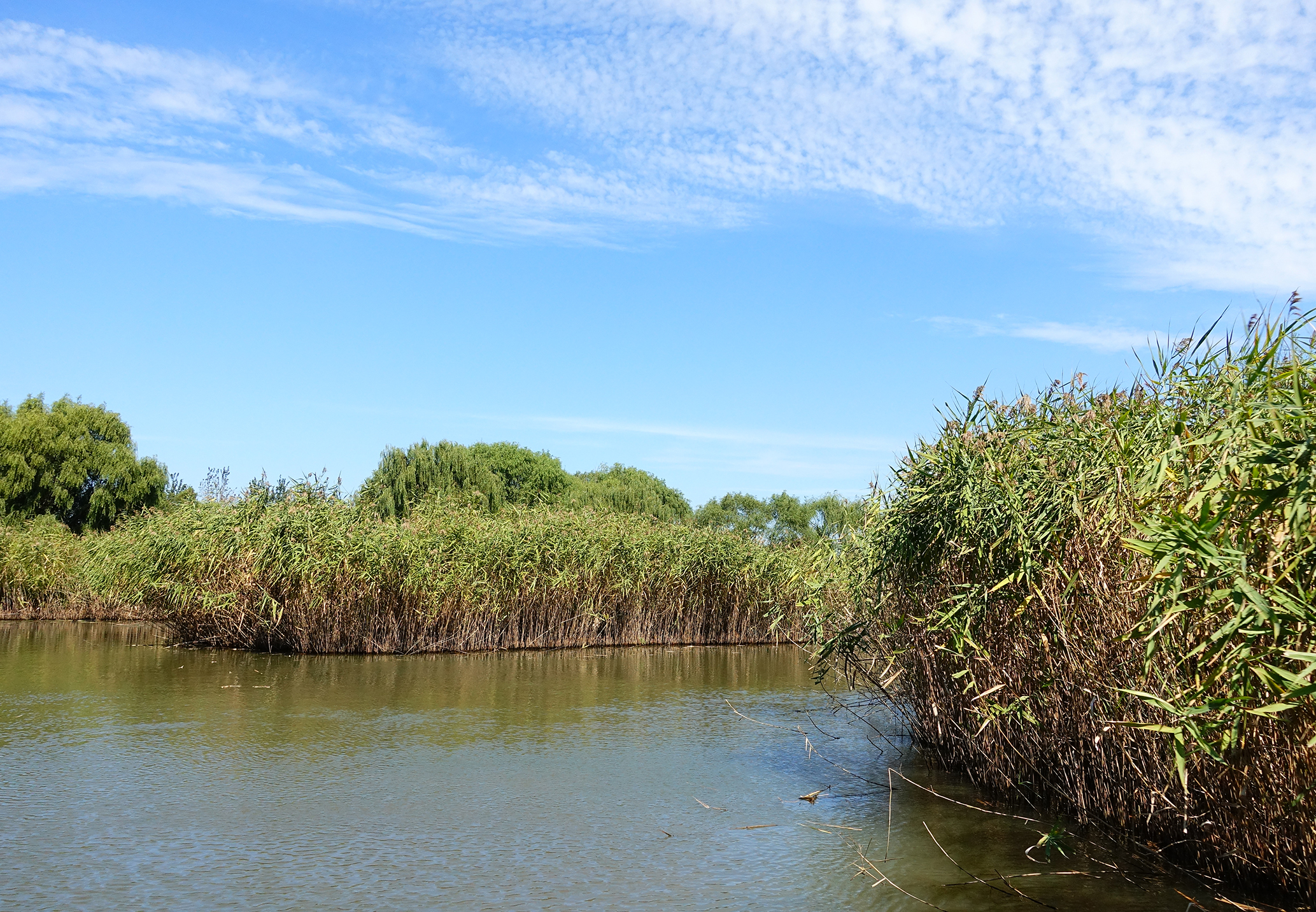 大纵湖旅游景区