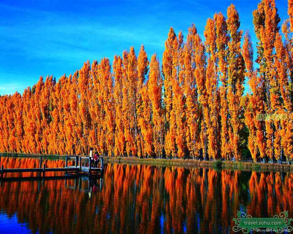  p>新西兰(英语:new zealand),又译纽西兰.