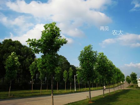我们在江农等着你