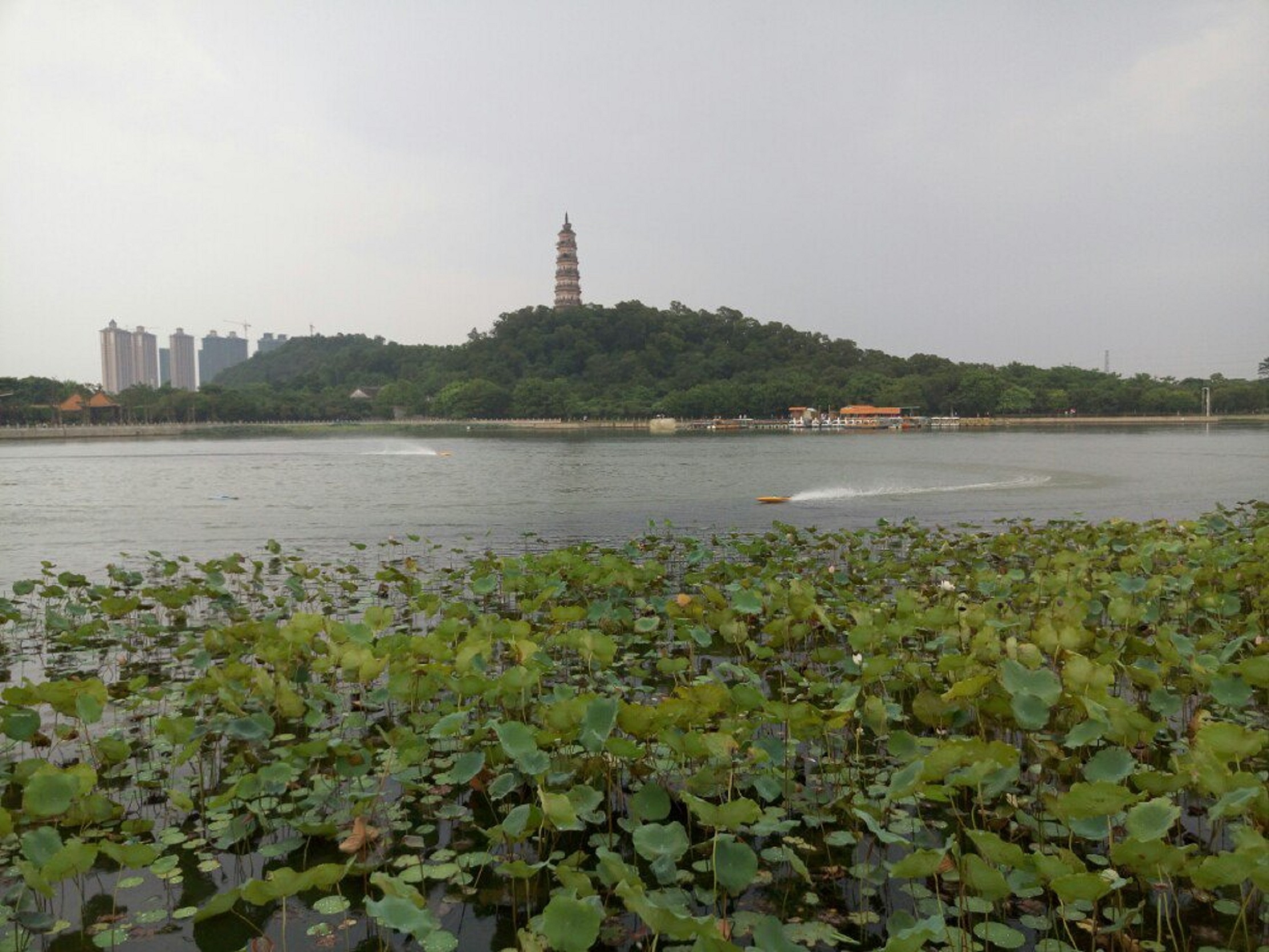  p data-id="gnvfucu733">佛山宝林寺位于顺德大良太平山西麓,于明山