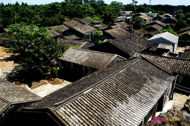  p data-id="gnwyeqrkx2"> 大丰镇隶属海南省澄迈县,位于海南岛北部