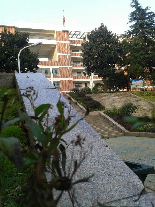 铜陵市十七中学