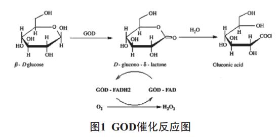 葡糖糖氧化酶