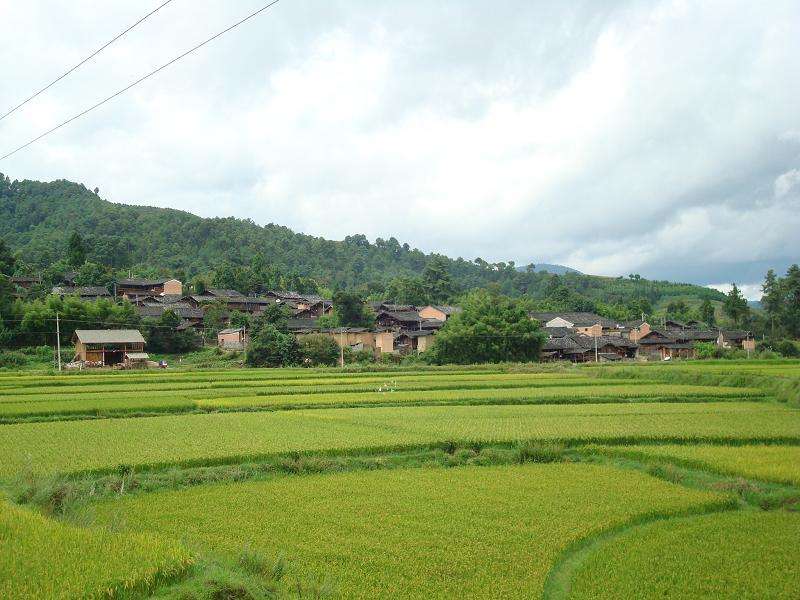  p>永忠自然村,属于云南省大理白族自治州洱源县炼铁乡前甸村委会