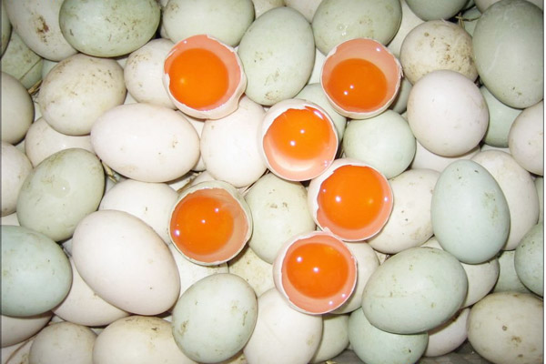  p>红心鸭蛋是蛋黄为红色的 a target="_blank" href="/item/鸭蛋