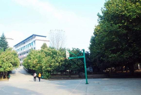  p> a href="#" data-lemmaid="15826201">织金县第三中学 /a>(又称