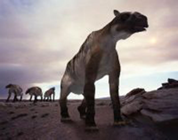  p>砂犷兽是爪兽科的一种动物.