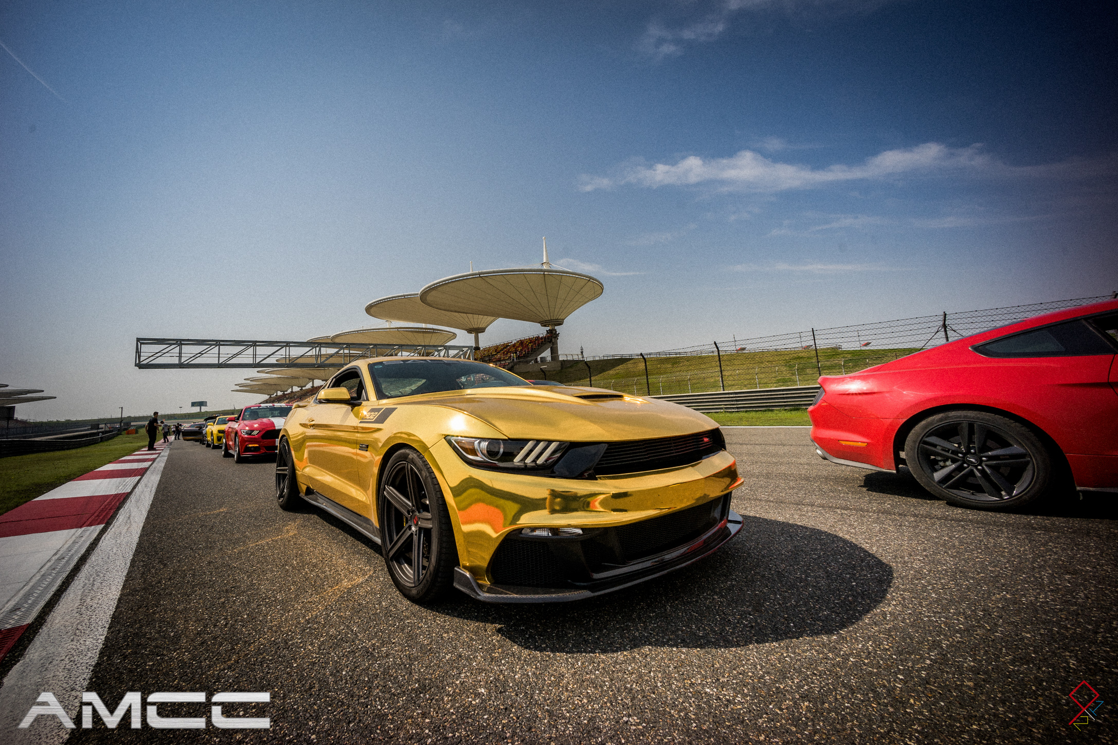  p>中国美式肌肉俱乐部(american muscle club of china,简称amcc)