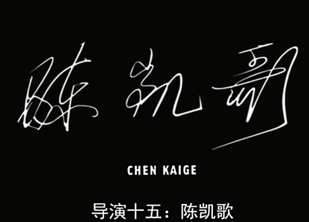 陈凯歌百花深处影评