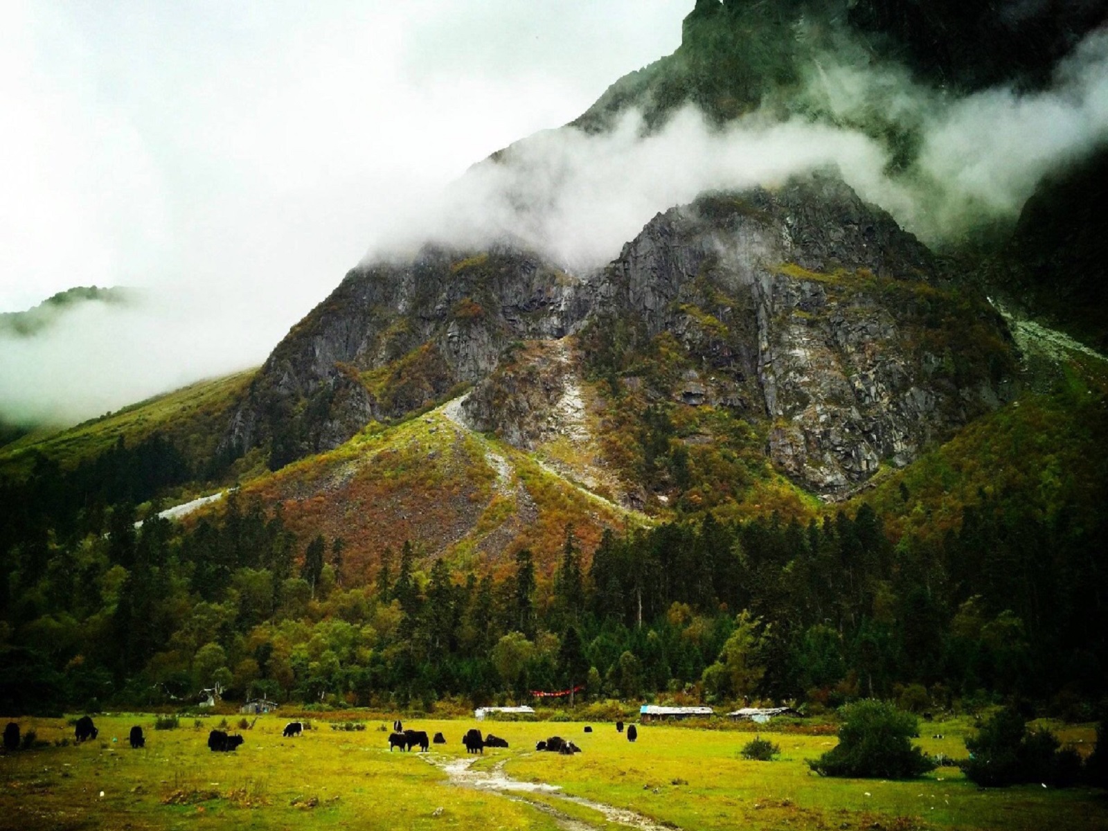  p>嘎隆拉雪山:位于 a href="#">西藏 /a>自治区林芝地区 a href="#"