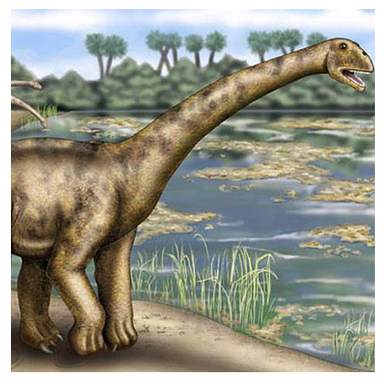 href="#" data-lemmaid="12615373">蜥脚下目 /a>盘足龙科的一属恐龙