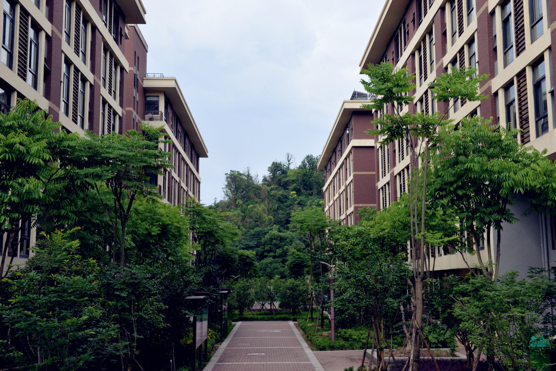 浙江安防职业学院