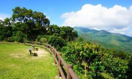 大帽山郊野公园