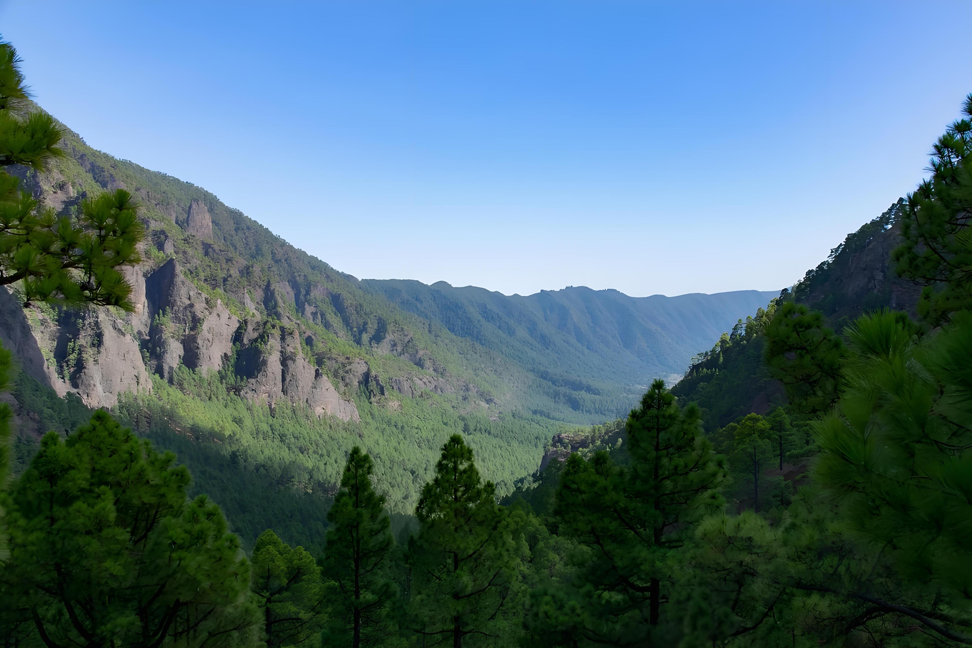 岗山森林公园