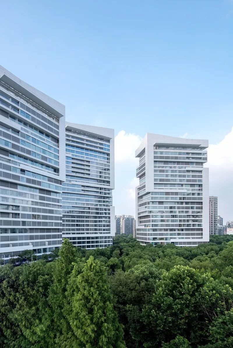 上海中鹰黑森林投资(集团)有限公司