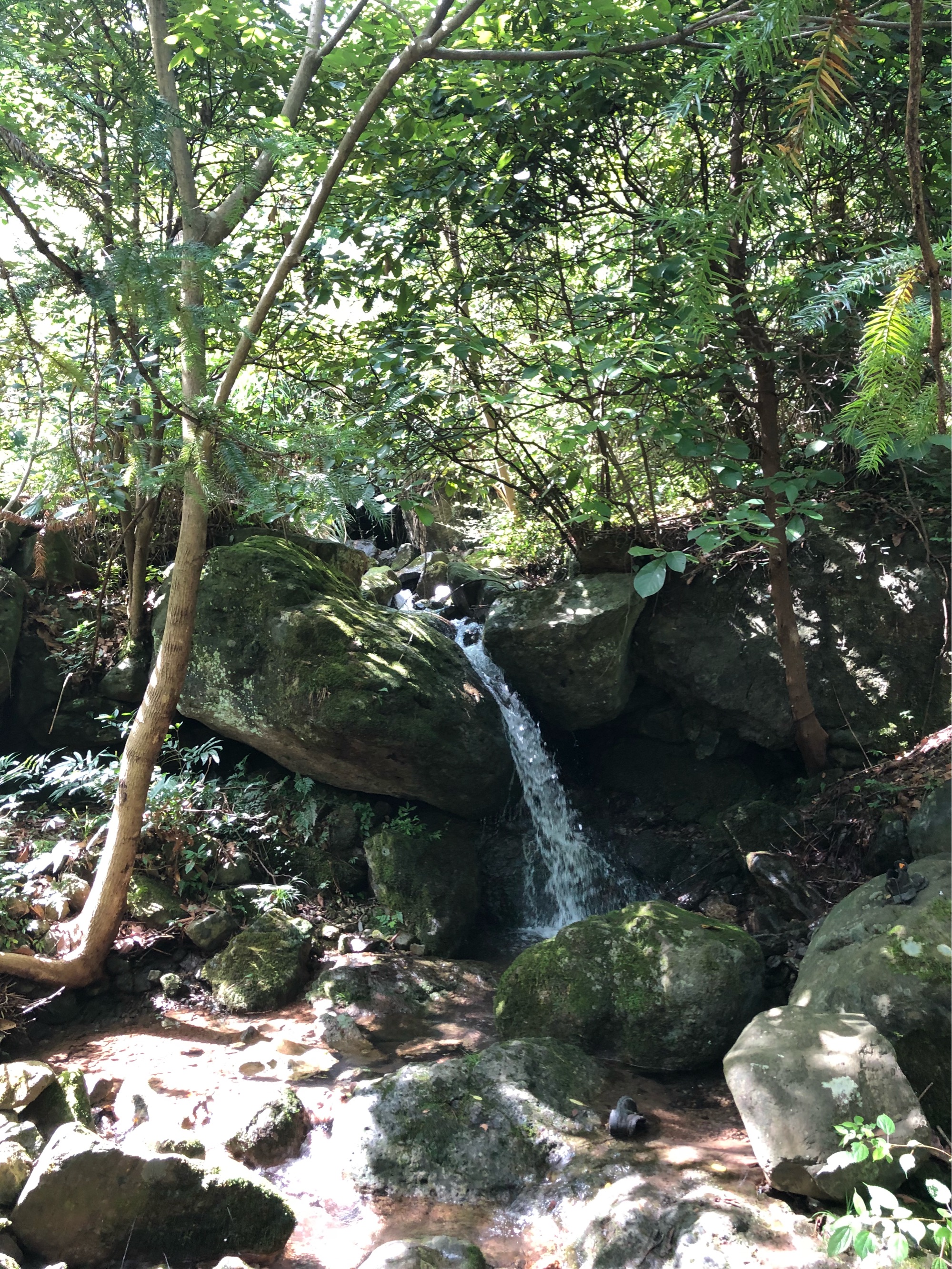  p data-id="go0m4niiop">赤岸镇,隶属于浙江省金华市义乌市,地处 a