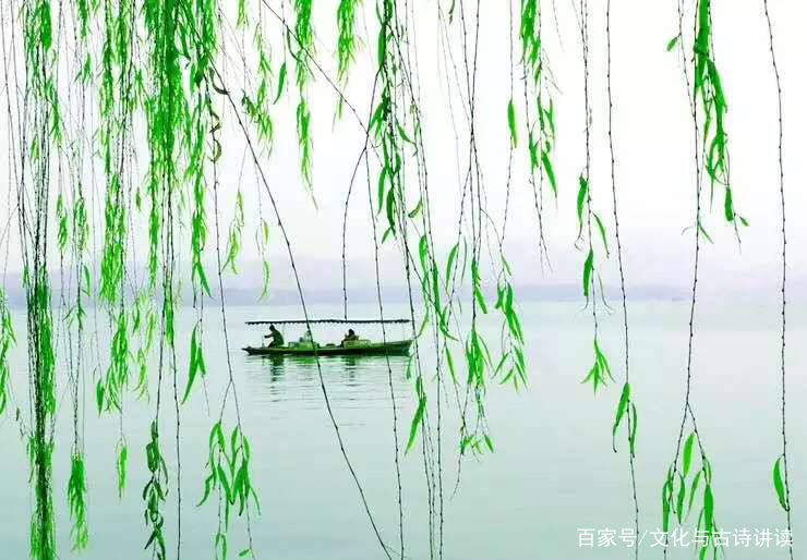 古诗《咏柳》中，弯弯的柳树枝条，像极了婀娜多姿的姑娘_百科TA说