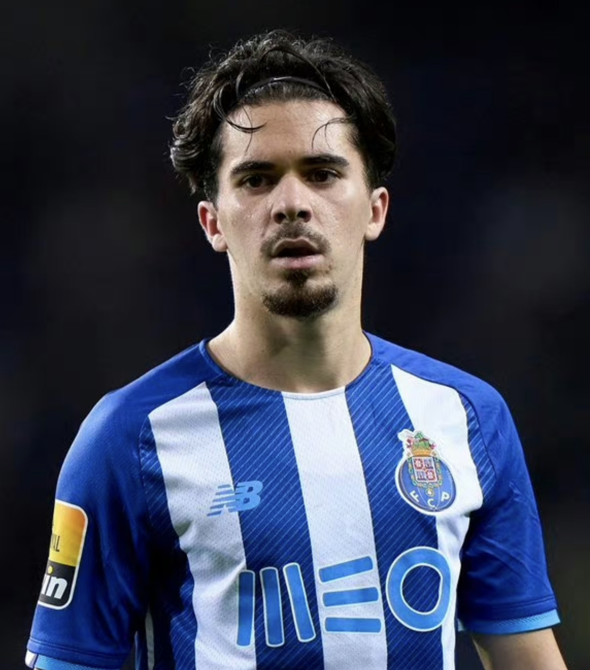 维蒂尼亚·费雷拉