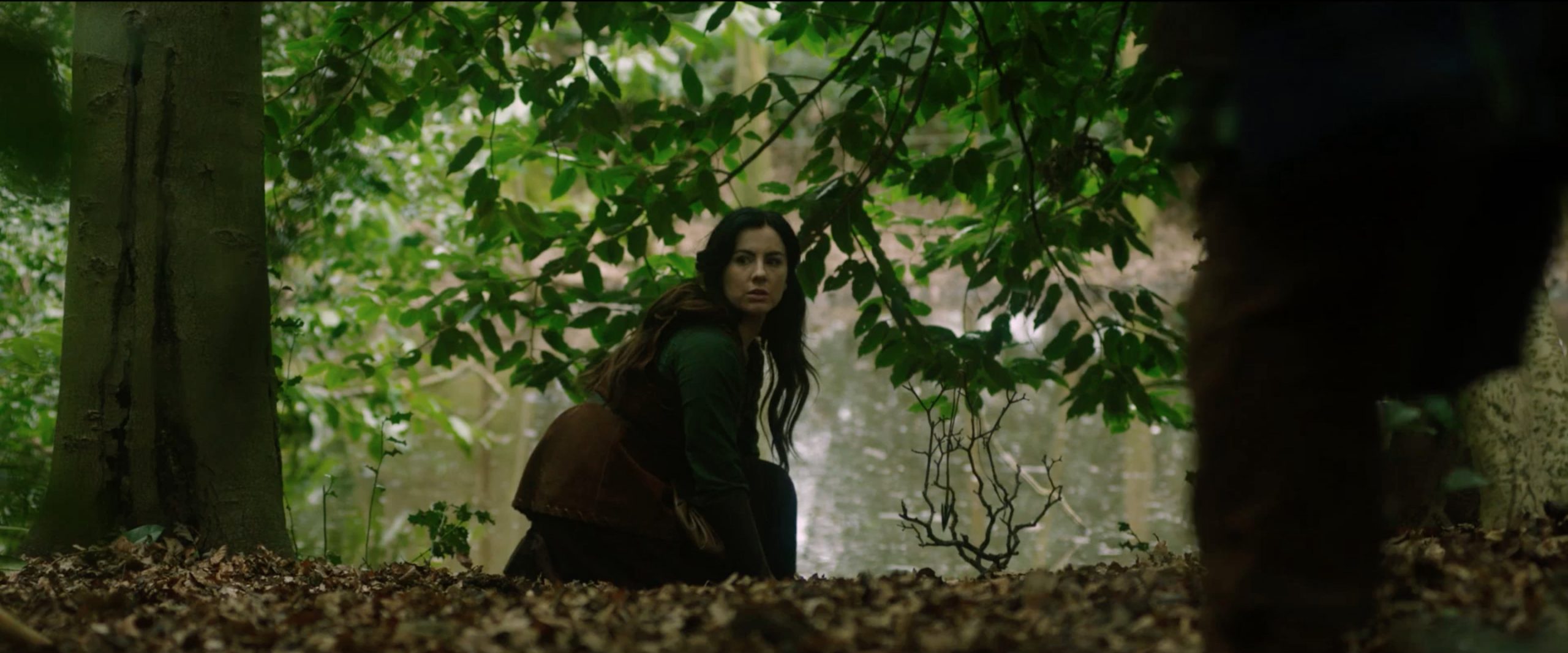 the adventures of maid marian