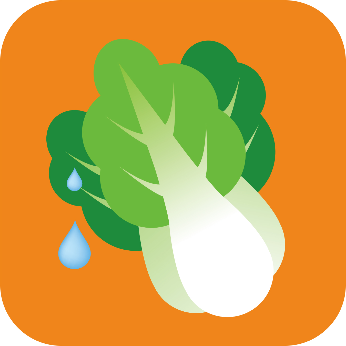 安徽皖创云书菜市集科技有限公司