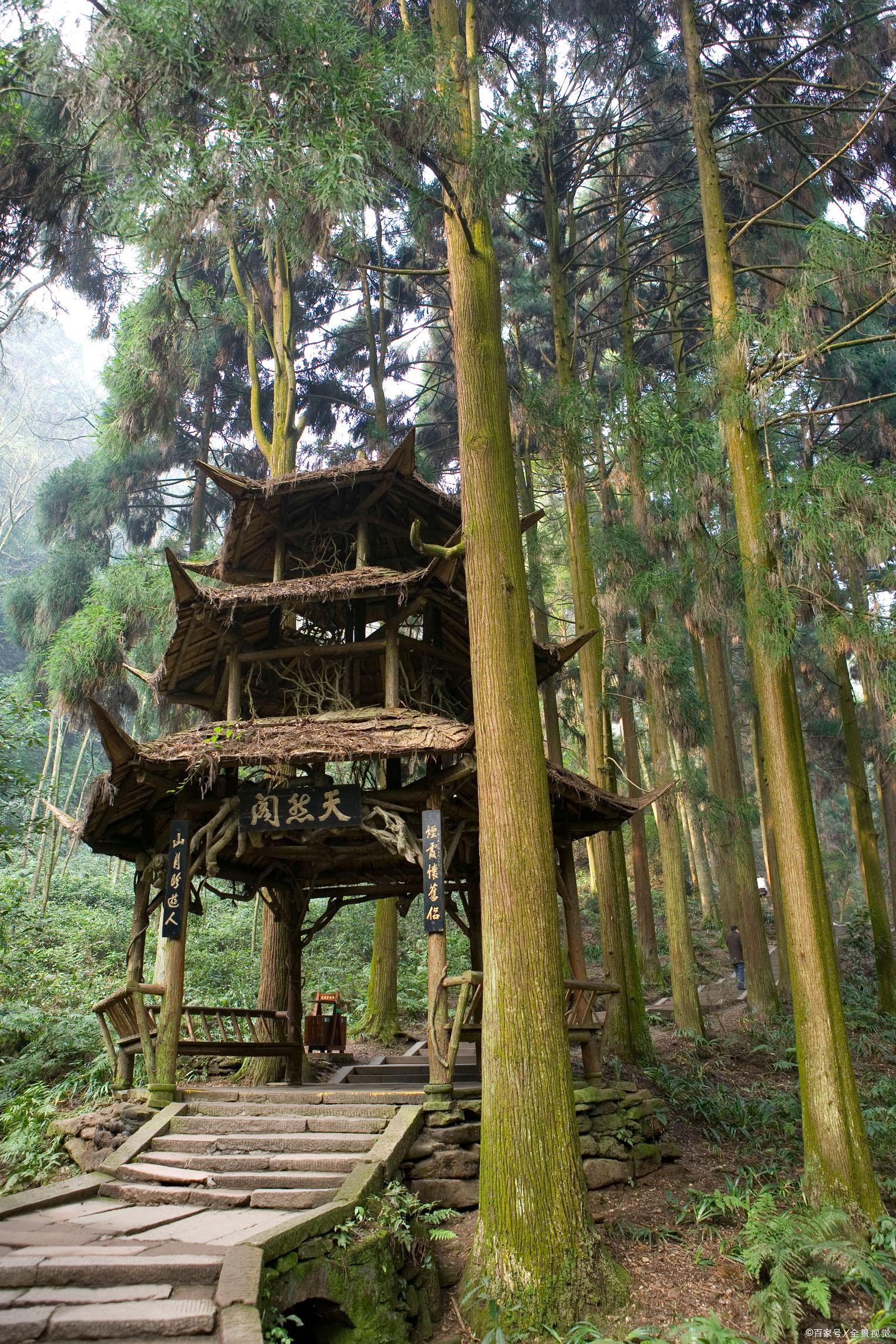 “青城天下幽”最美青城山_百科TA说