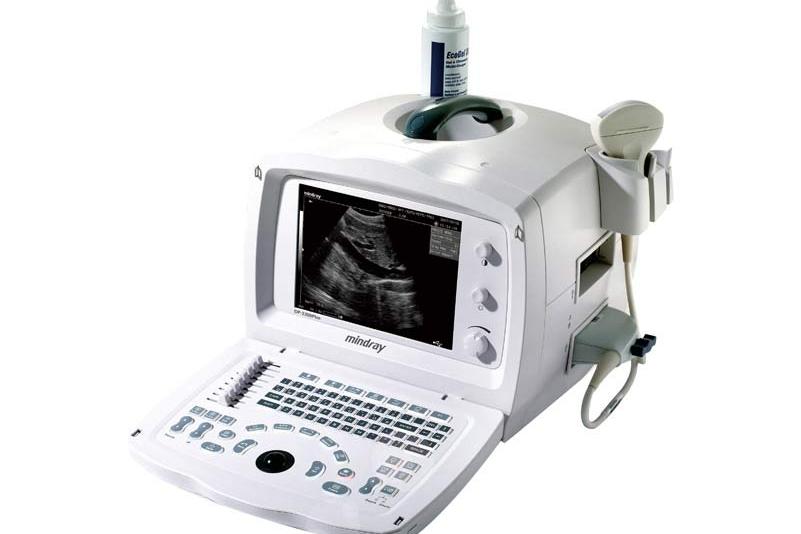 fpxzn">便携式超声诊断设备,医疗器械,主要适用范围以a超,b超诊断为主