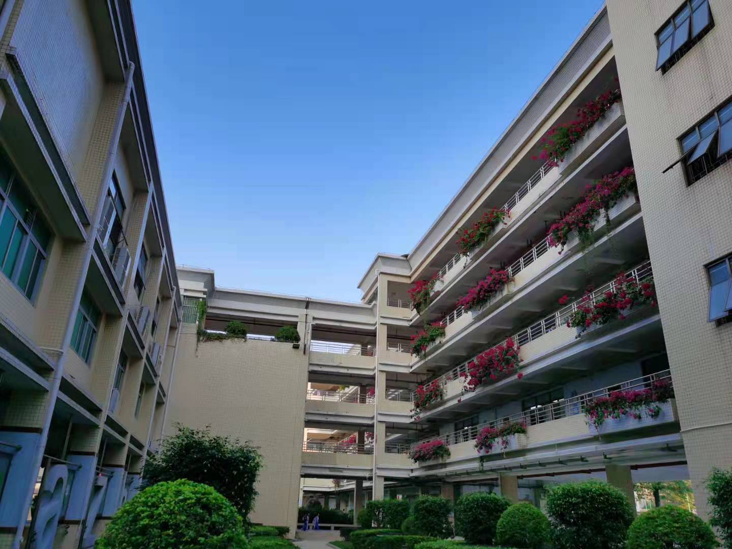 龙岗南联学校