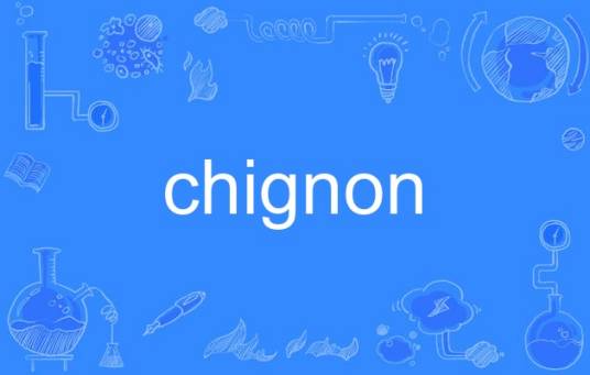 chignon_百度百科