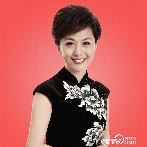 海霞（中国内地节目主持人、新闻播音员）_百度百科