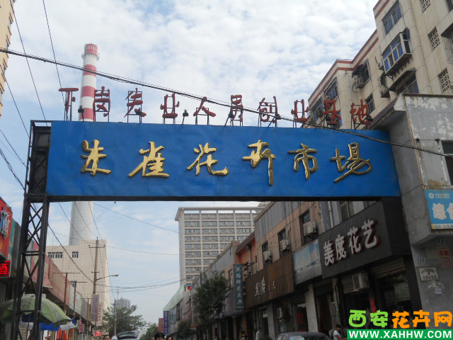  p>西安朱雀花卉市场即西安南二环花卉市场,由西安光大物业管理有限