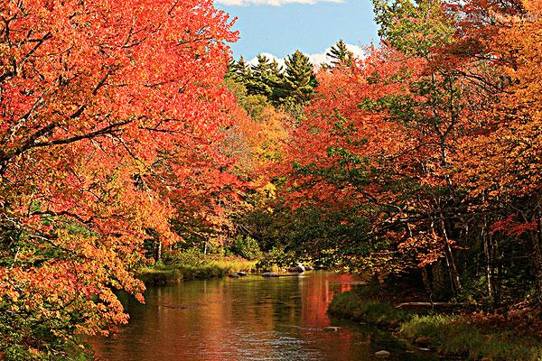 加拿大东南部的一省,由新斯科舍半岛和 a target="_blank" href="