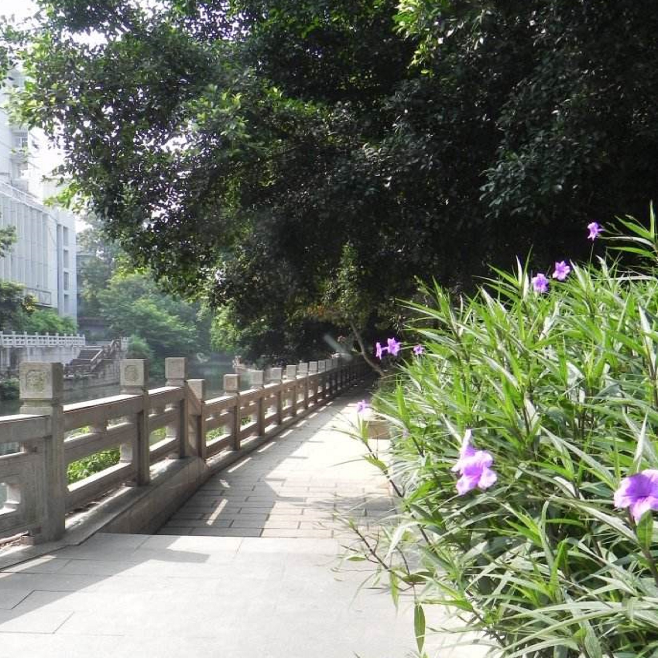  p>白马河公园 位于福建省 a target="_blank" href="/item/福州">