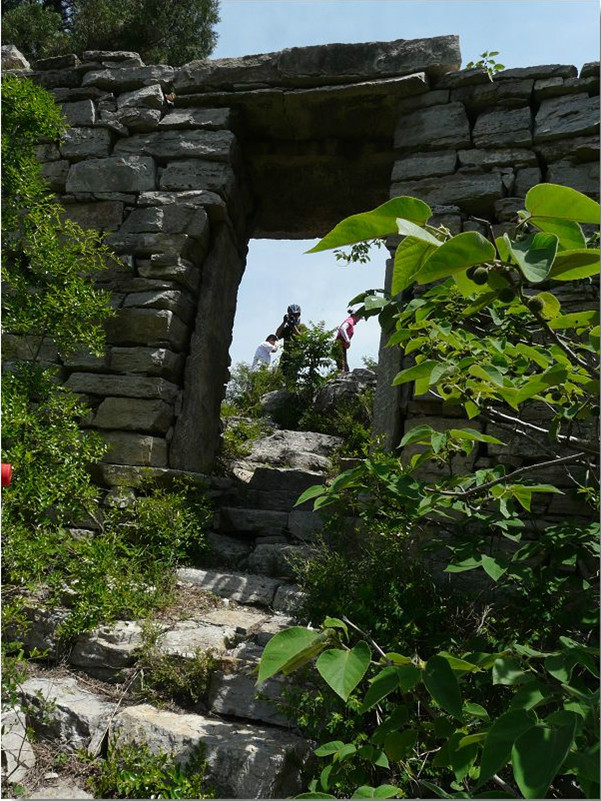 山东平阴大寨山省级自然保护区