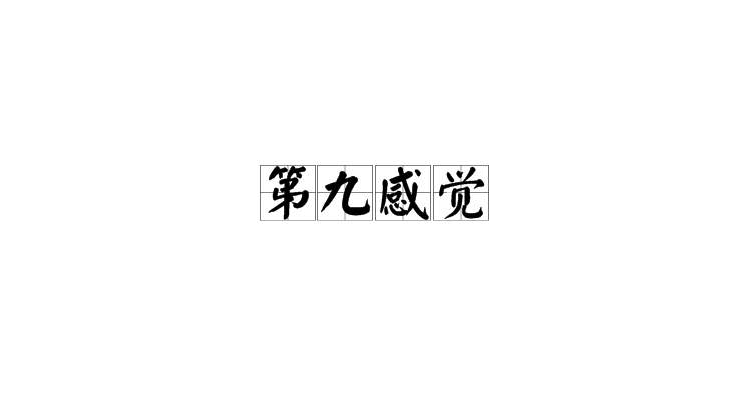 第九感觉