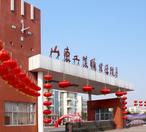 shandong vocational college of industry
