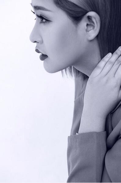 中国好声音第二季 崔兰花