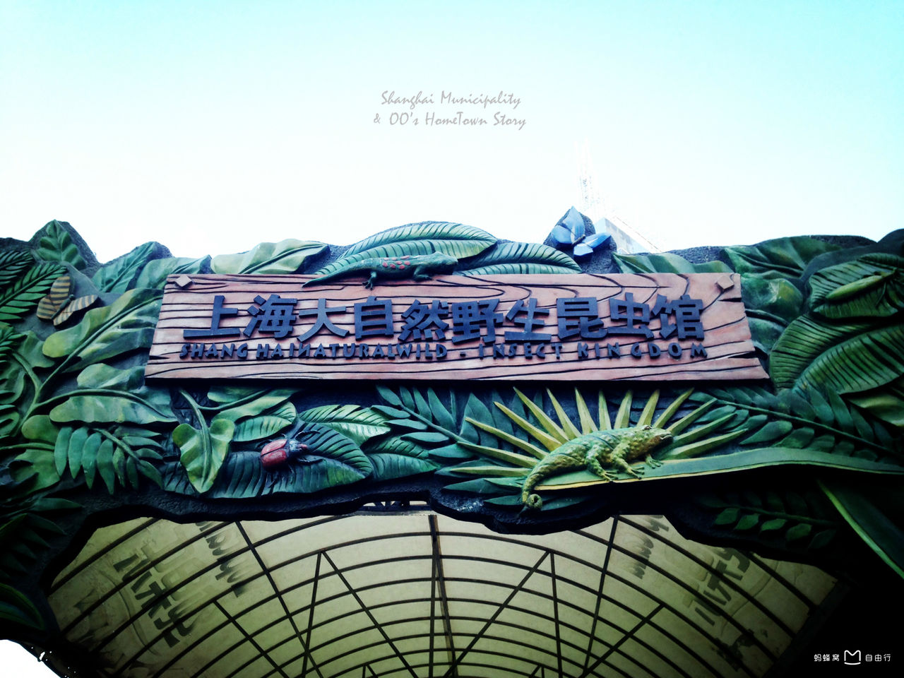上海自然野生昆虫馆