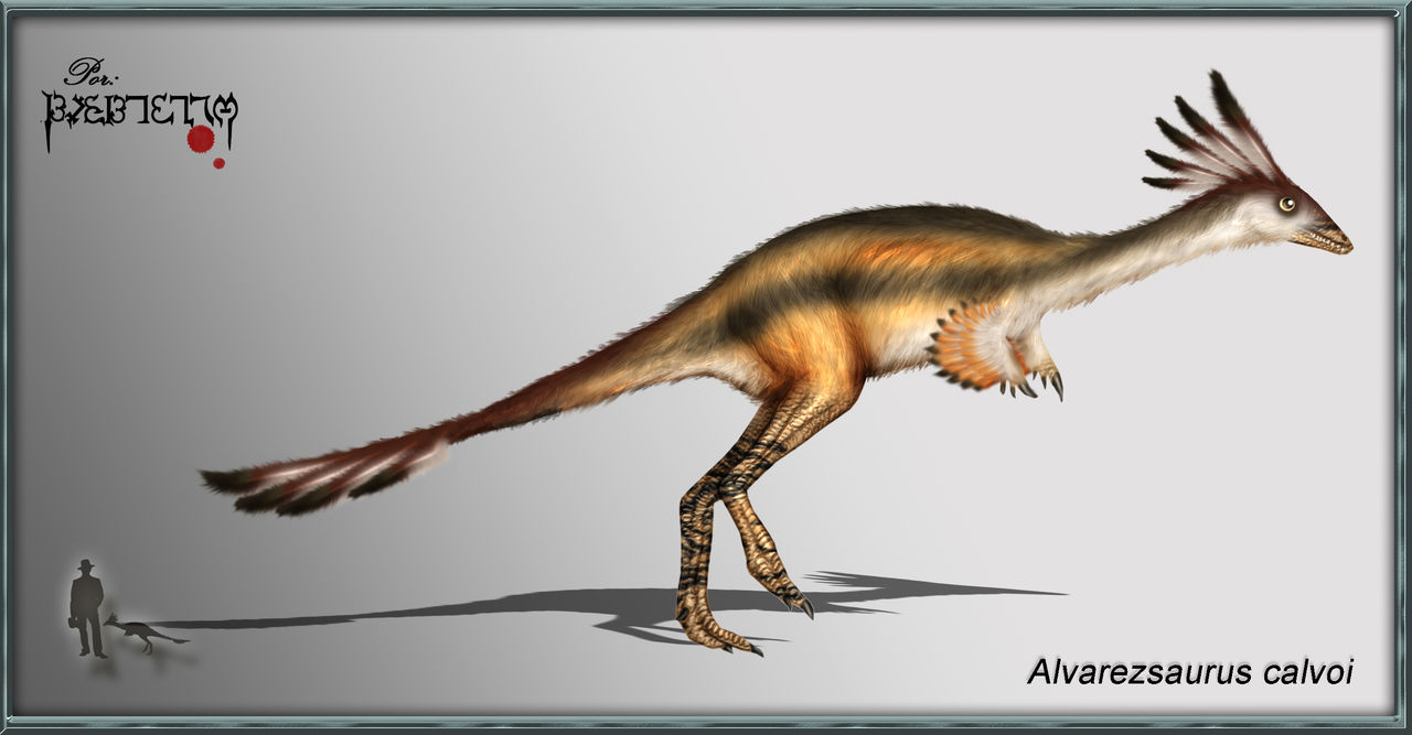  p>阿瓦拉慈龙(学名alvarezsaurus)意为"阿瓦拉慈的蜥蜴",是 a target