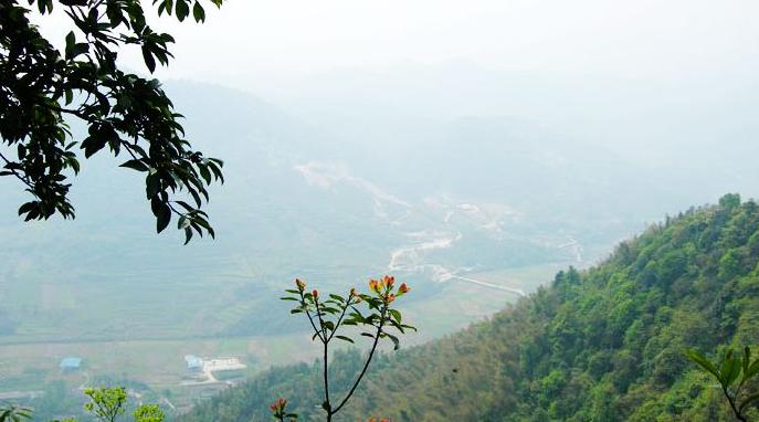 洞霄宫在 a target="_blank" href="/item/浙江省">浙江省 /a>杭州市 