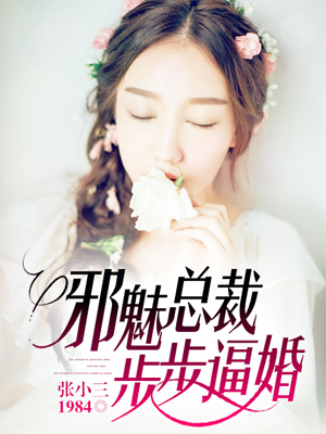 是连载于九库文学的一部现代言情类网络小说,作者是张小三1984