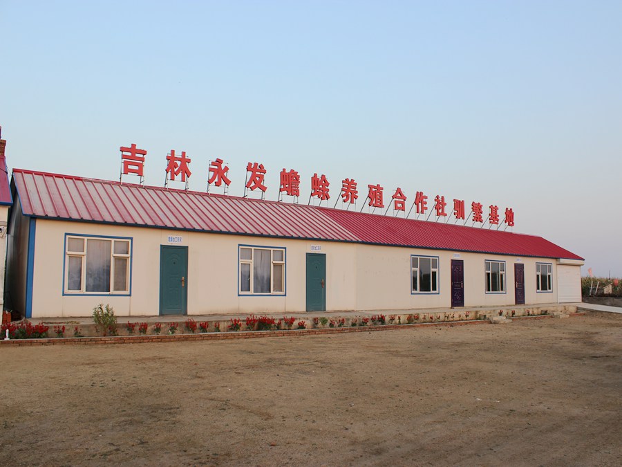  p>吉林市昌邑区永发蟾蜍养殖专业合作社是吉林市养殖蟾蜍的大规模