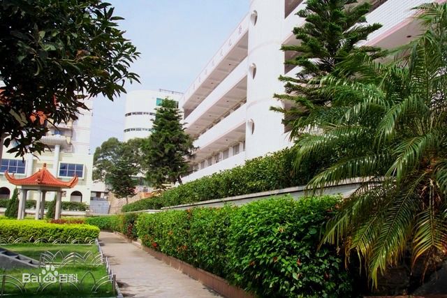 厦门市第三中学