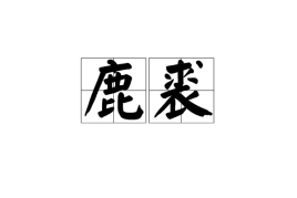 鹿裘什么什么成语_成语故事手抄报