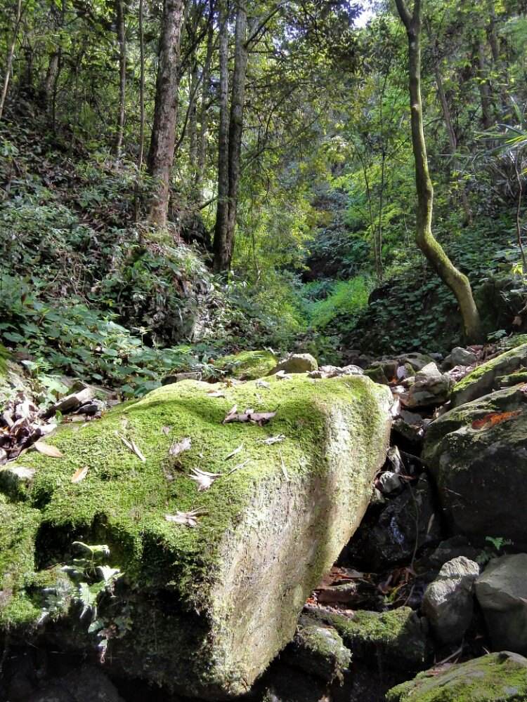 50x47pv">七姊妹山是七座紧密相连的山峰,耸立在湖北省宣恩县东北部 a