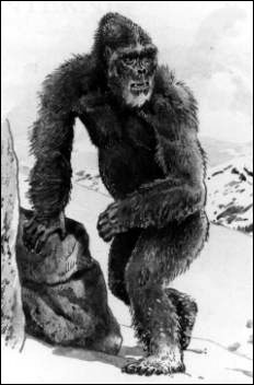 雪人又被称为大脚野人,夜帝