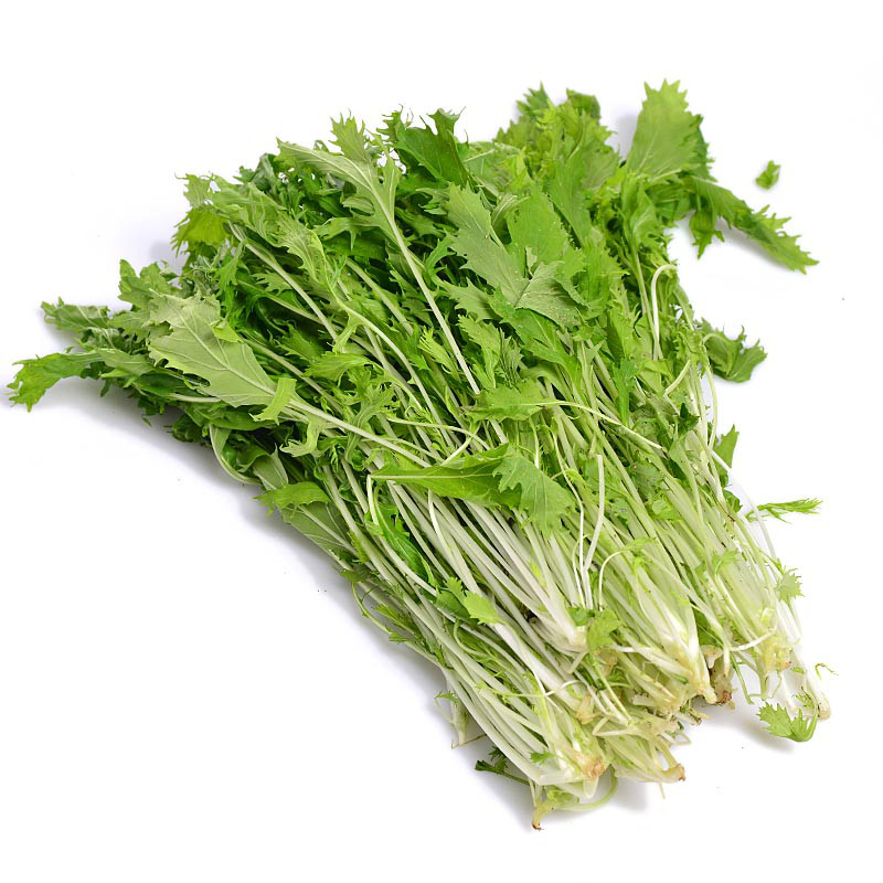  p>水晶菜是日本最新育成的一种外型新颖,含 a target="_blank" href=