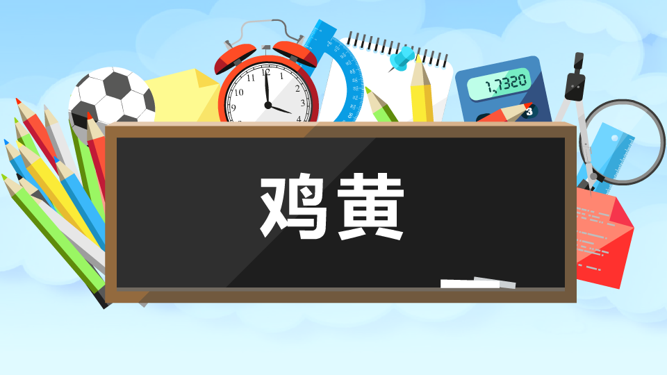 鸡黄：家禽鸡的胆囊结石