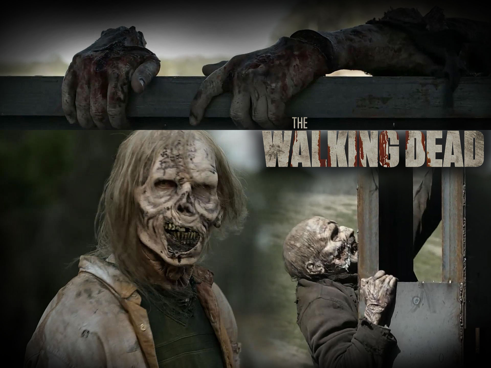 观众的胜利——写在《行尸走肉》完结之后_百科TA说