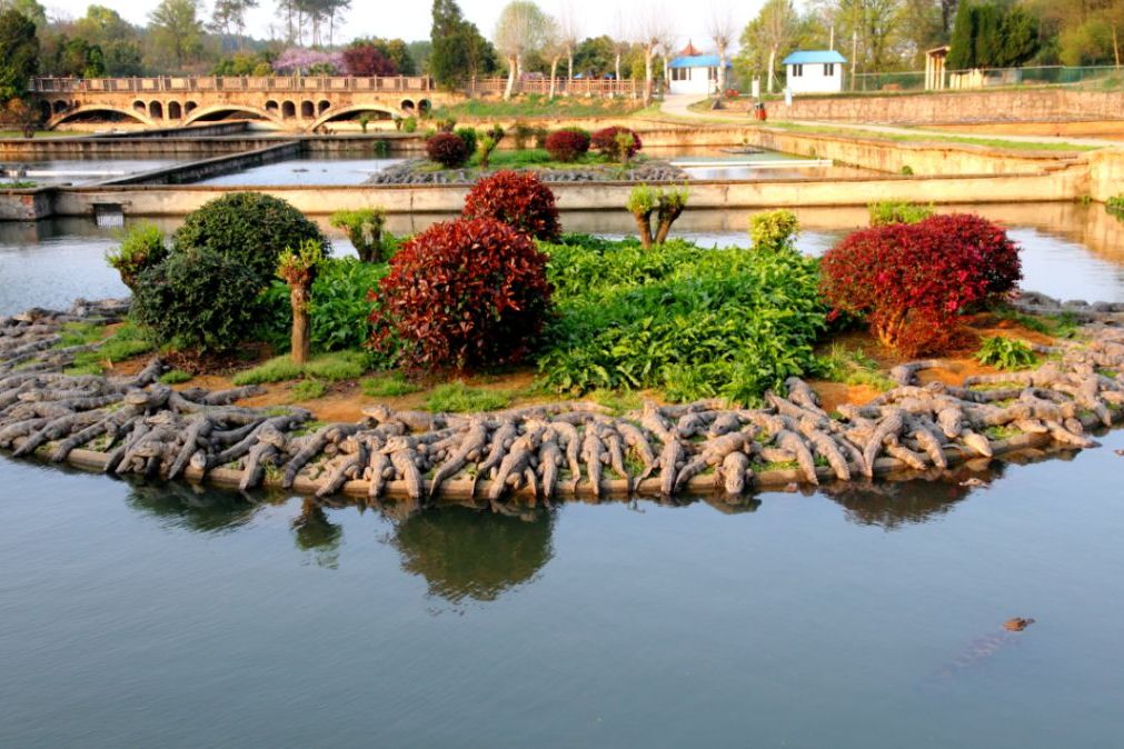 扬子鳄景区,是位于 a target="_blank" href="/item/安徽省/526353"